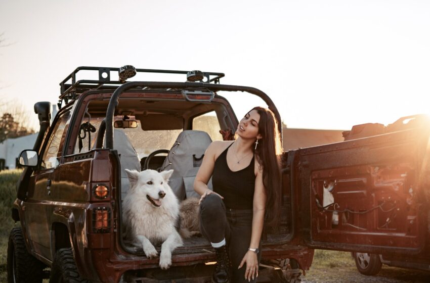  How to Plan a Road Trip or PET Vacation with Your Furry Companion